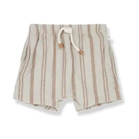 1  in the Family Peter Biscotto Bermuda Shorts