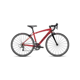 2020 Specialized Allez Jr 650C