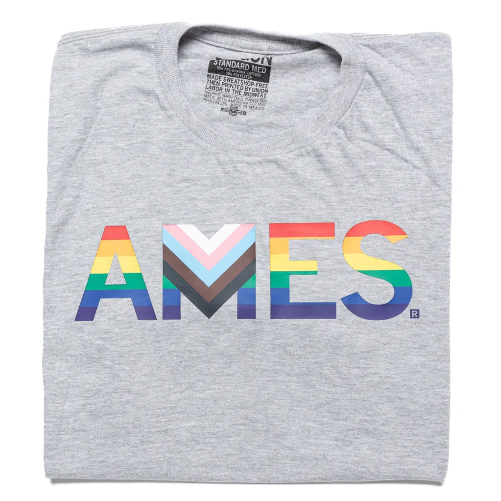 Ames Text Progress Pride Flag