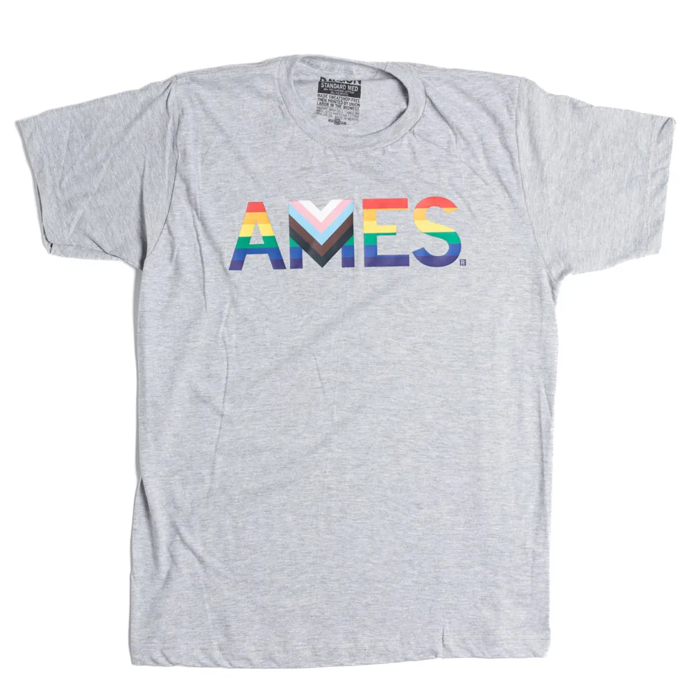 Ames Text Progress Pride Flag