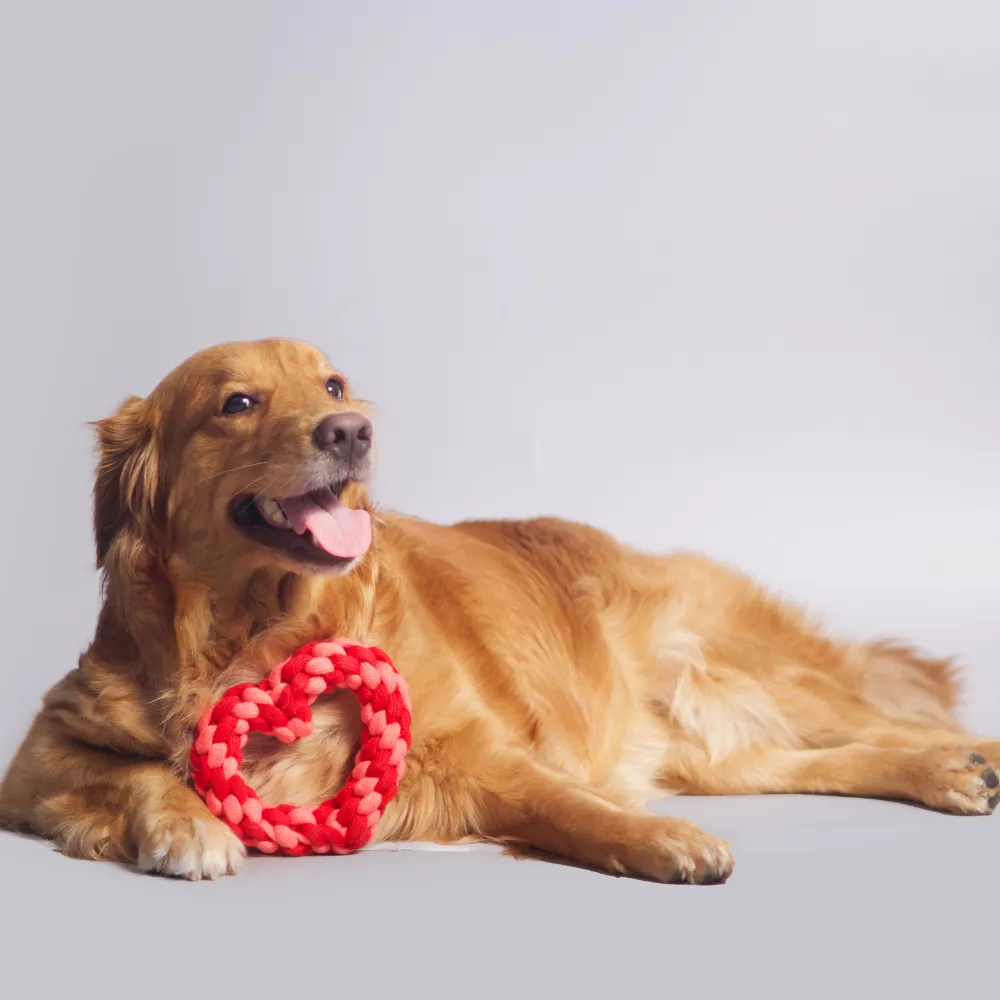 Heart Rope Toy