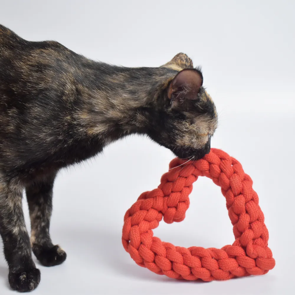 Heart Rope Toy