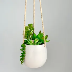 Minimal Succulent Bush Hanging Planter