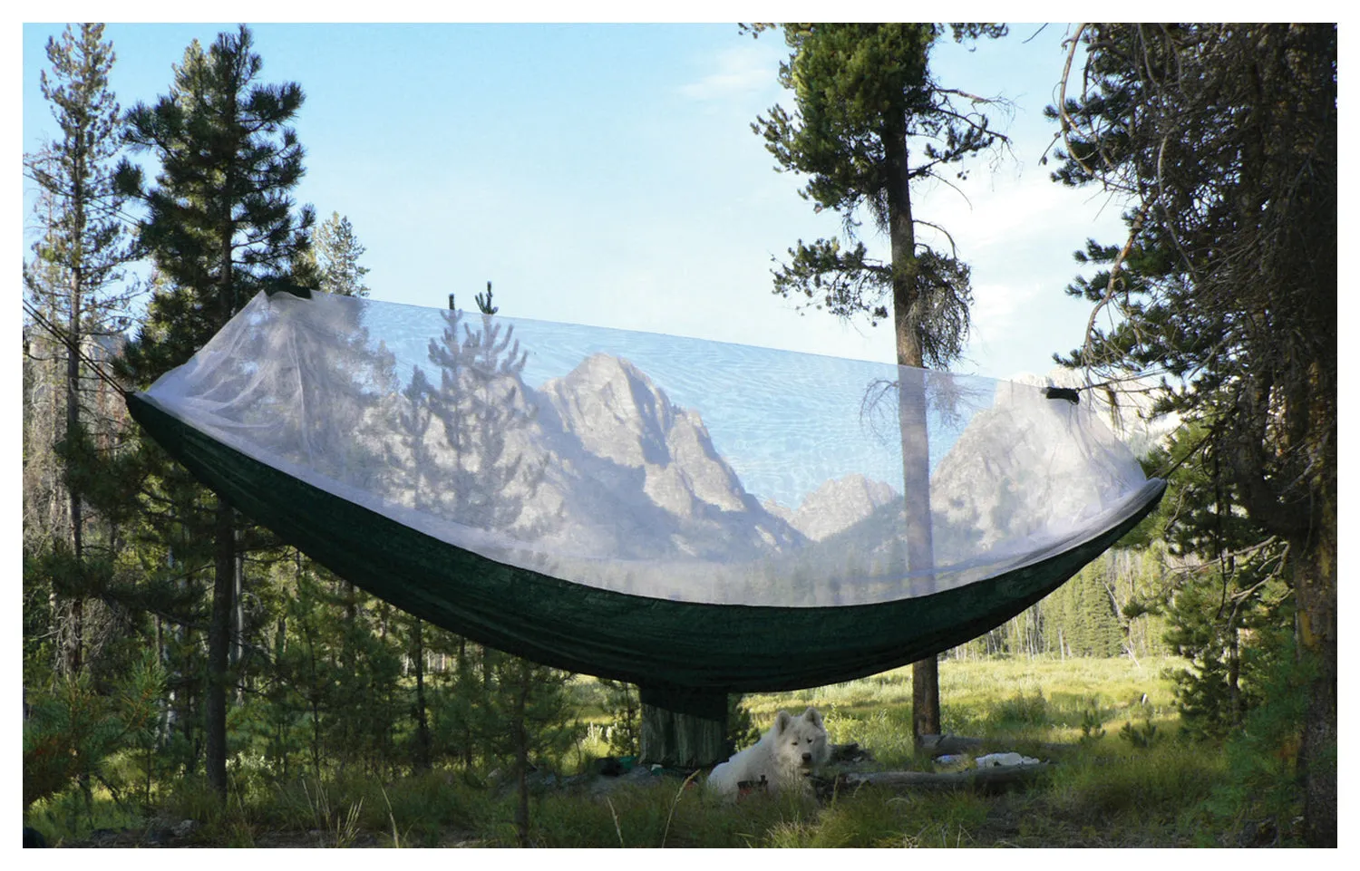 Mosquito Free Hammock